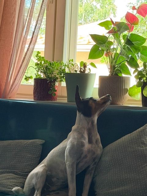 Vastaanotolla olen mukana myös minä. T: Duffy